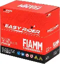 Batería Moto Fiamm Agm Ftx14 Bmw F650+ Honda Suzuki V-strom